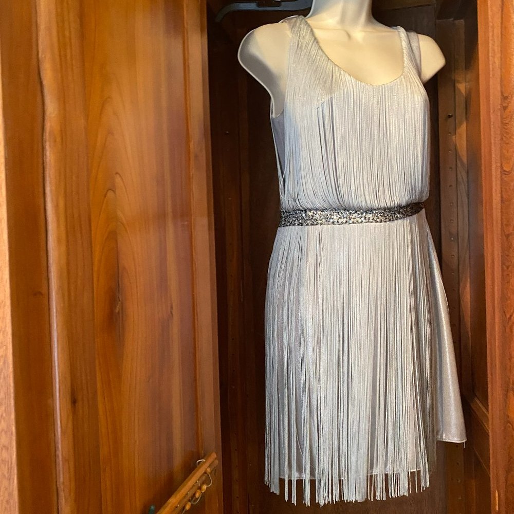 Gray Fringe Flapper Cocktail Dress from Kathy Hilton